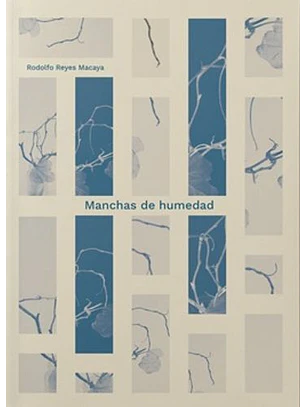 Manchas De Humedad