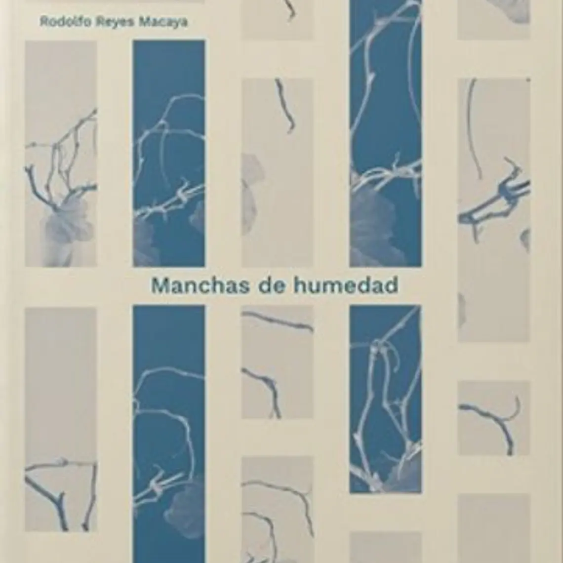 Manchas De Humedad 1