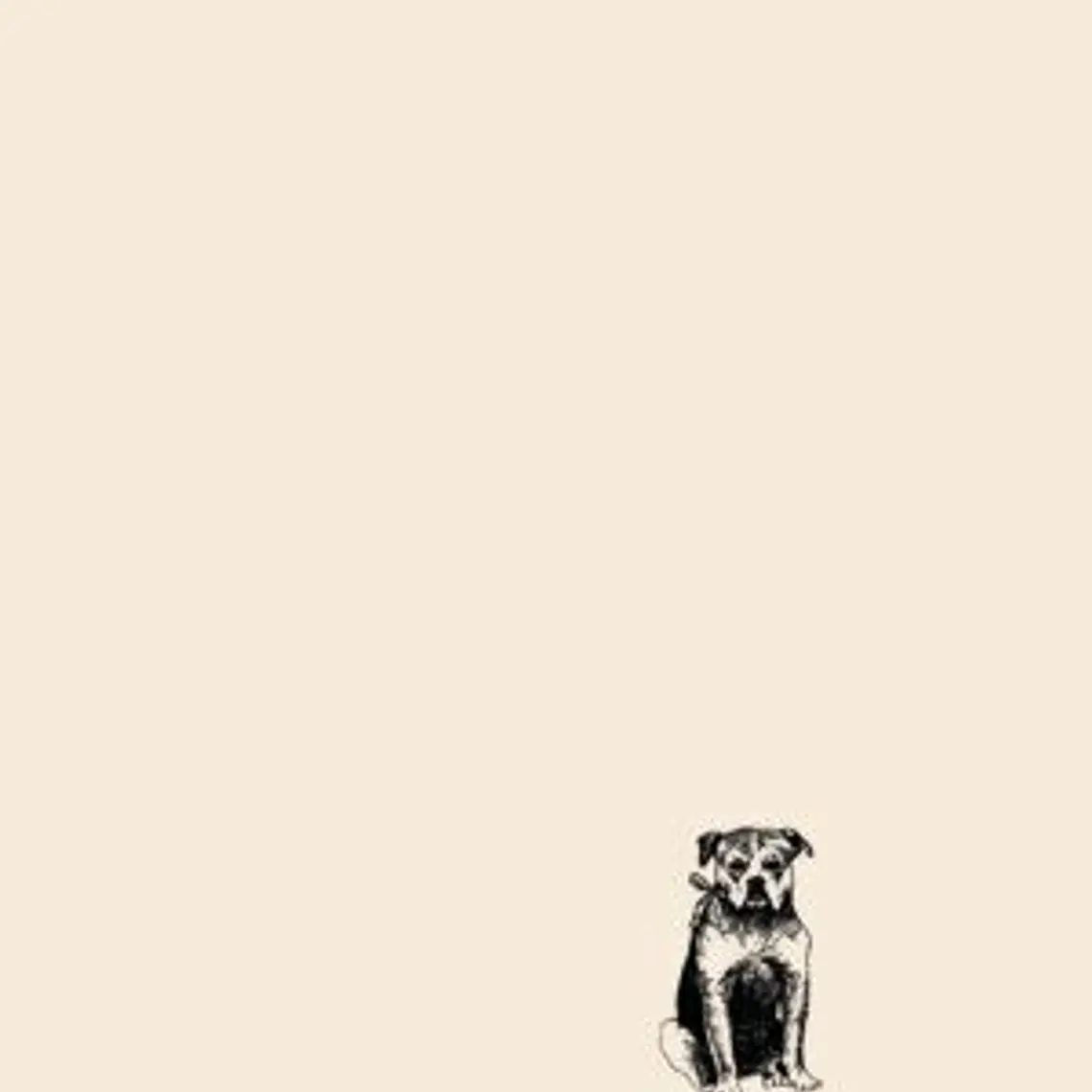 Animal Domestico 1