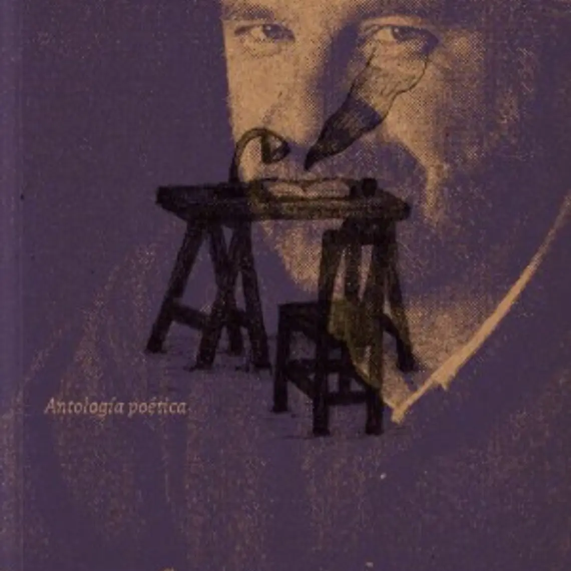 Antologia Poetica Breve Historia De La Poesia 1