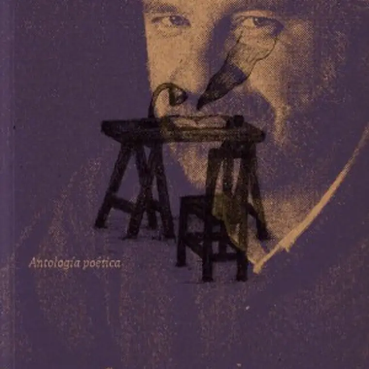 Antologia Poetica Breve Historia De La Poesia 1