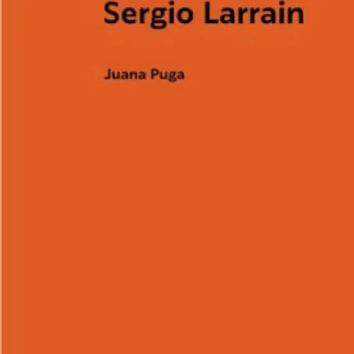 Conversaciones Con Sergio Larrain 1