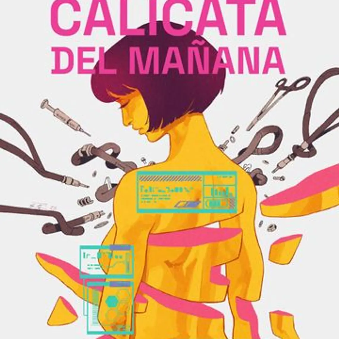 Calicata Del Mañana 1