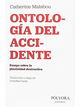 Ontologia Del Accidente