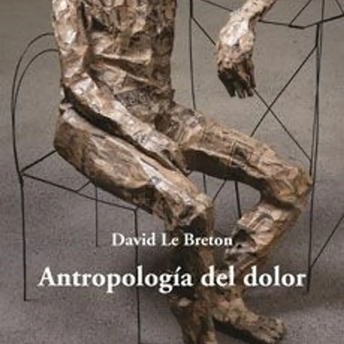Antropología Del Dolor 1
