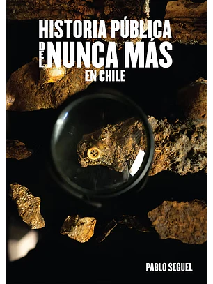Historia Publica Del Nunca Más En Chile