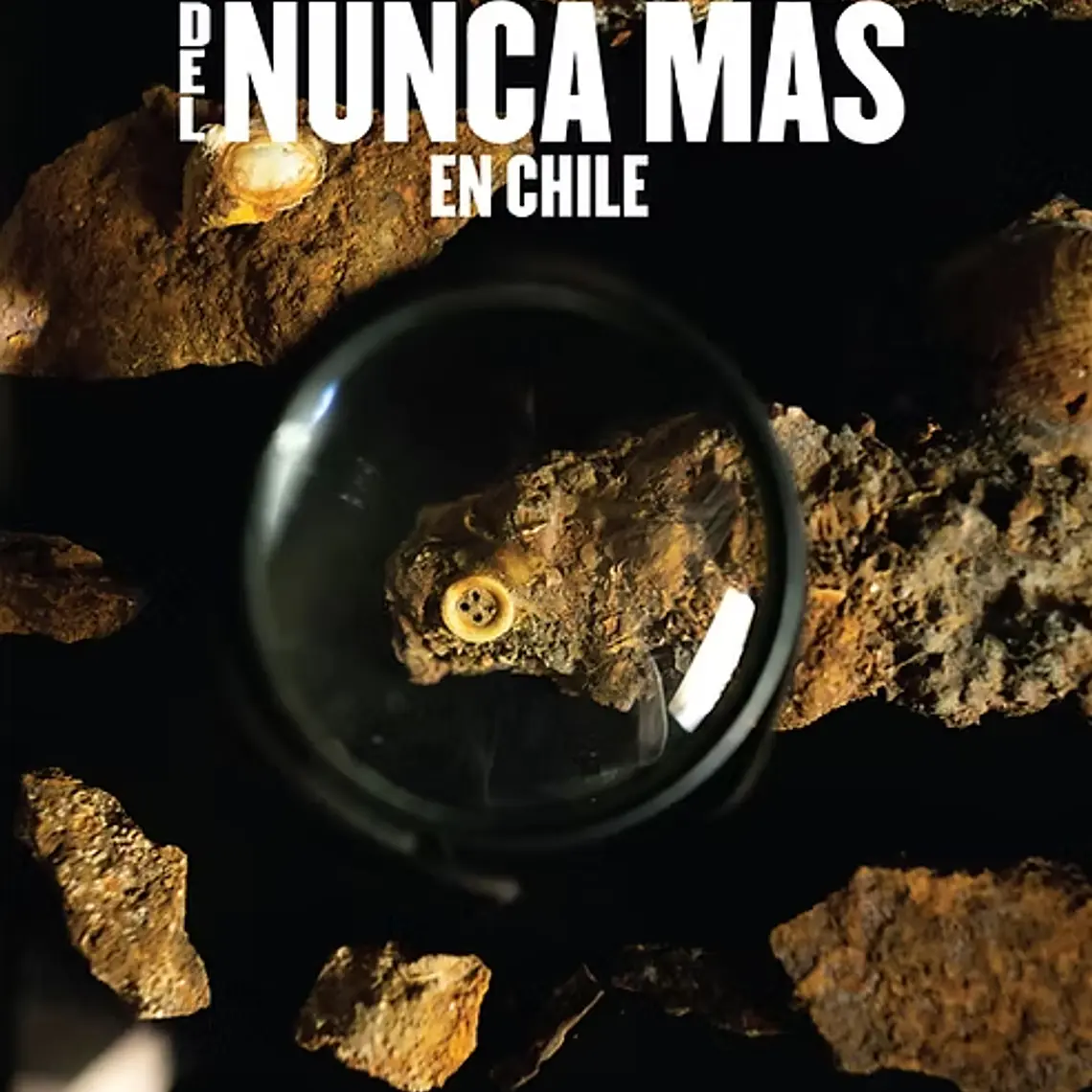 Historia Publica Del Nunca Más En Chile 1