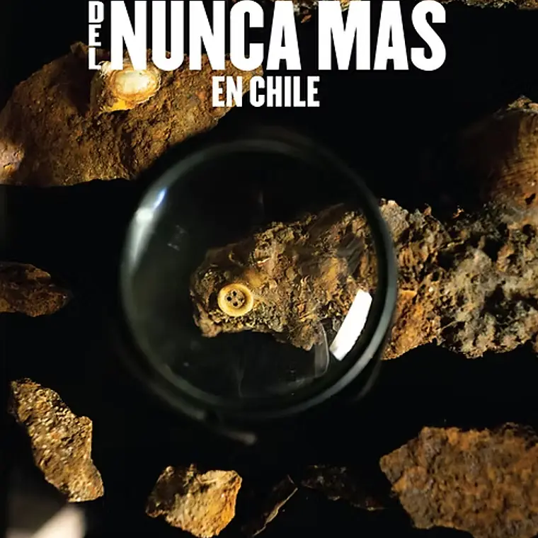 Historia Publica Del Nunca Más En Chile 1