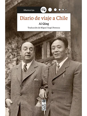Diario De Viaje A Chile
