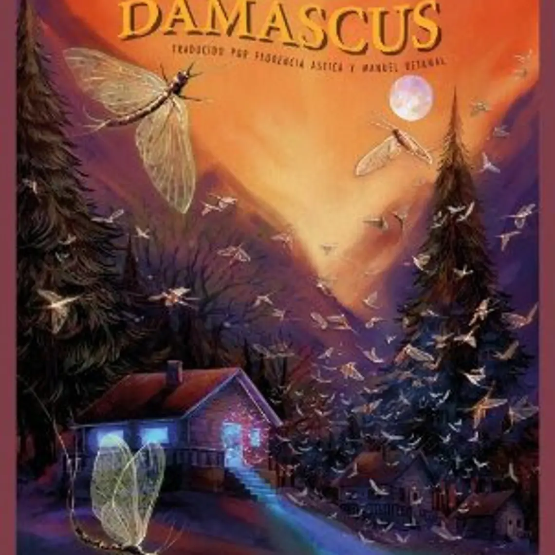 Campamento Damascus 1