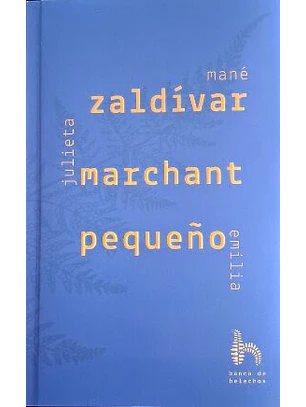 Zaldivar Marchant Pequeño