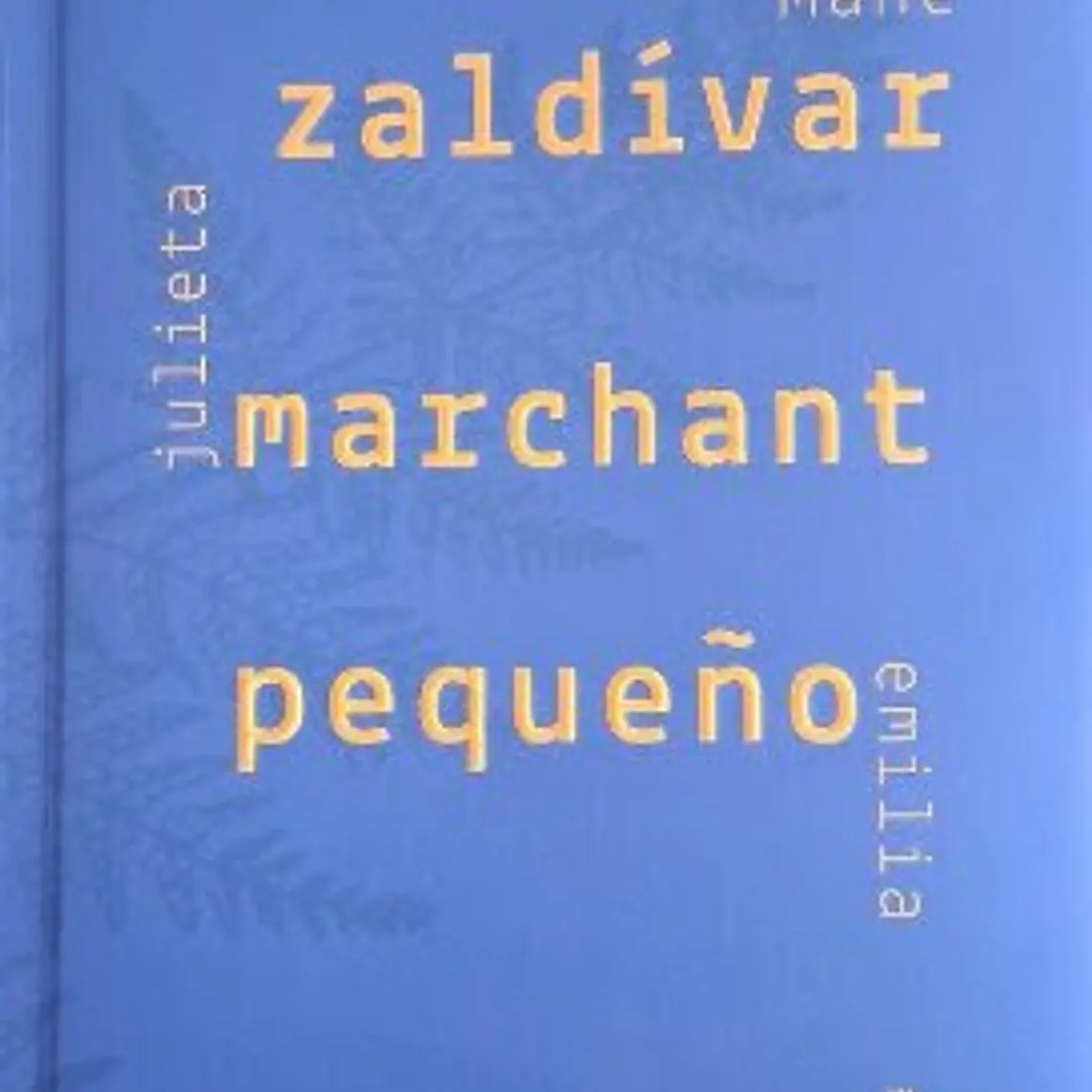 Zaldivar Marchant Pequeño 1