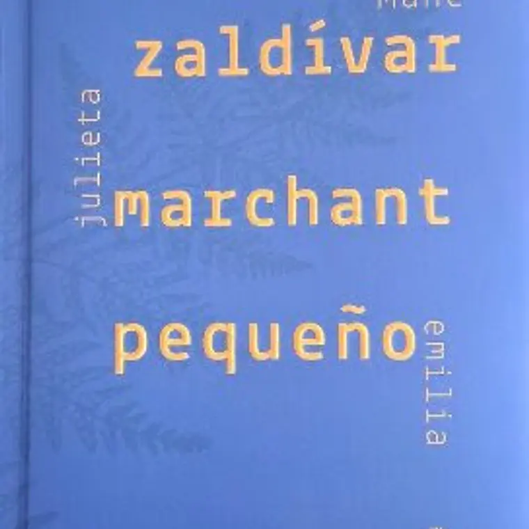 Zaldivar Marchant Pequeño 1