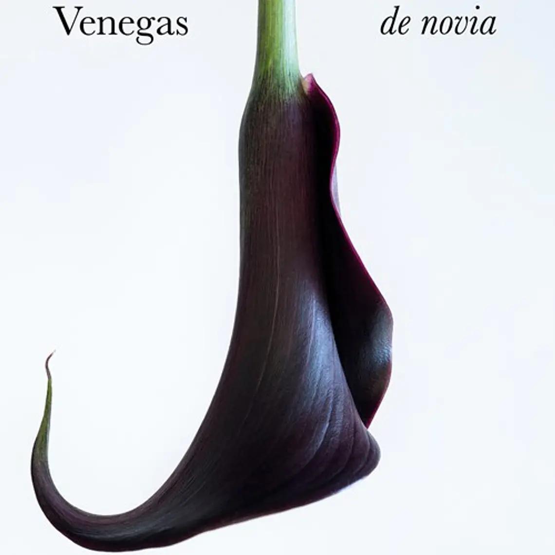 Vestido De Novia 1