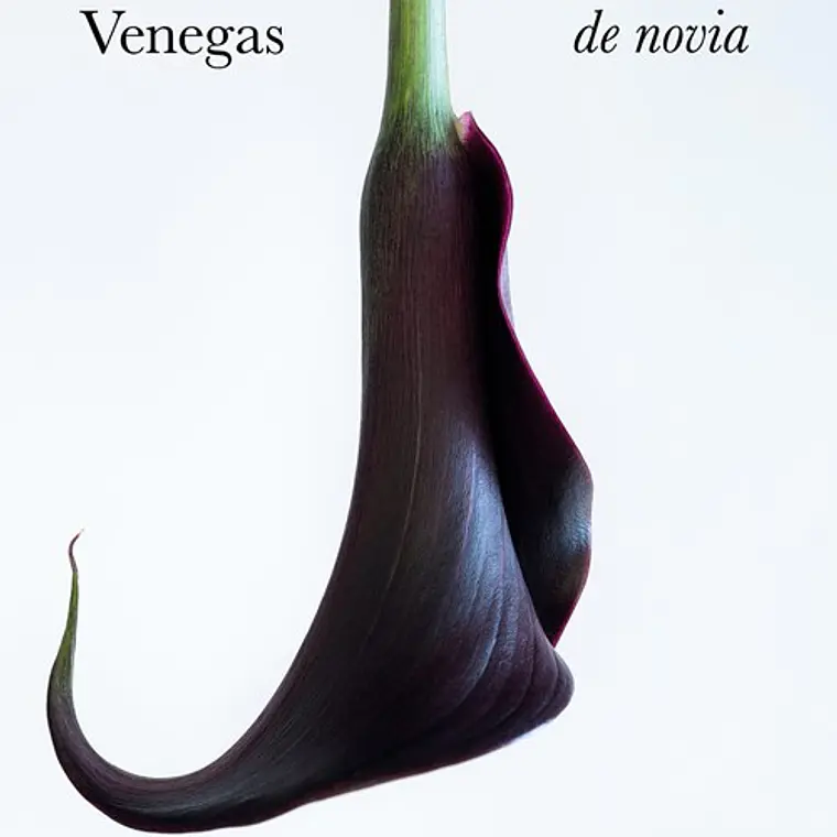 Vestido De Novia 1