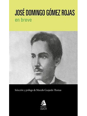 José Domingo Gómez Rojas En Breve