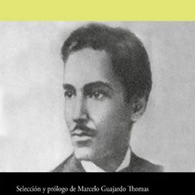 José Domingo Gómez Rojas En Breve 1