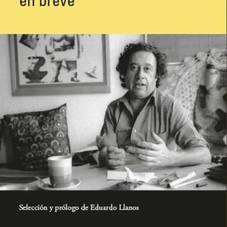 Enrique Lihn En Breve 1
