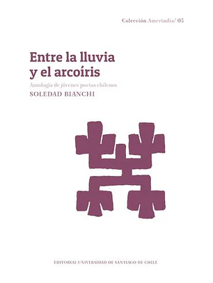 Entre La Lluvia Y El Arcoíris. Antología De Jóvenes Poetas Chilenos