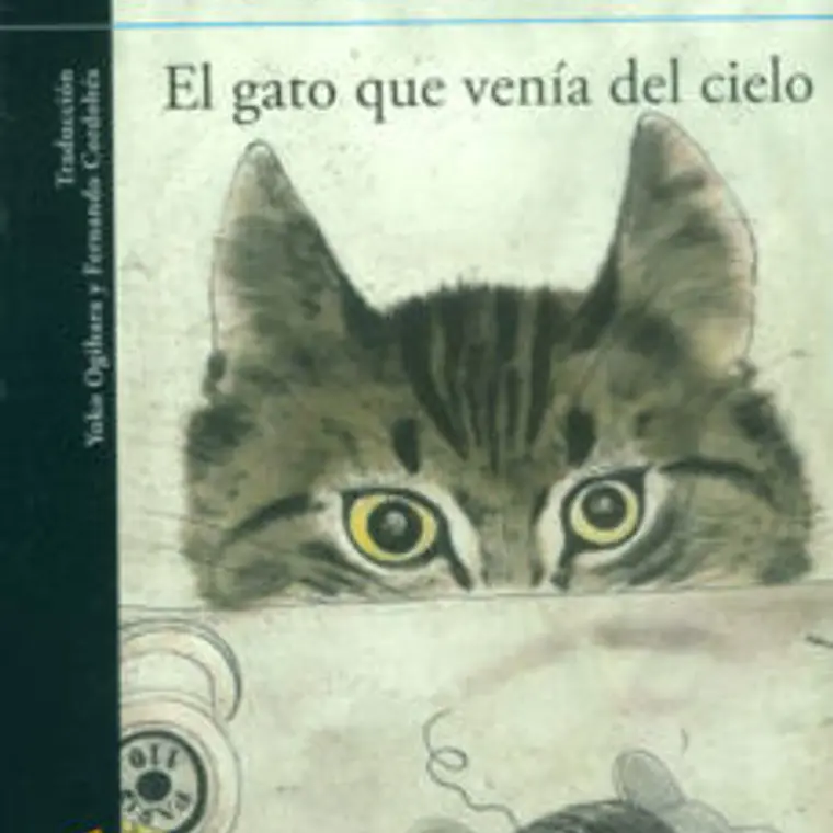 Gato Que Venia Del Cielo, El 1