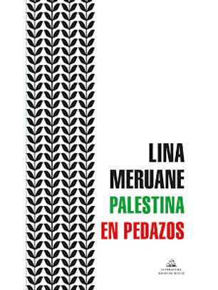 Palestina En Pedazos