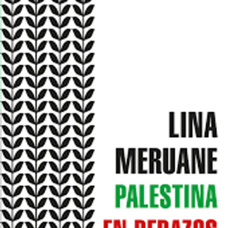Palestina En Pedazos 1