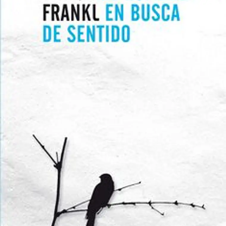 Hombre En Busca De Sentido, El  1