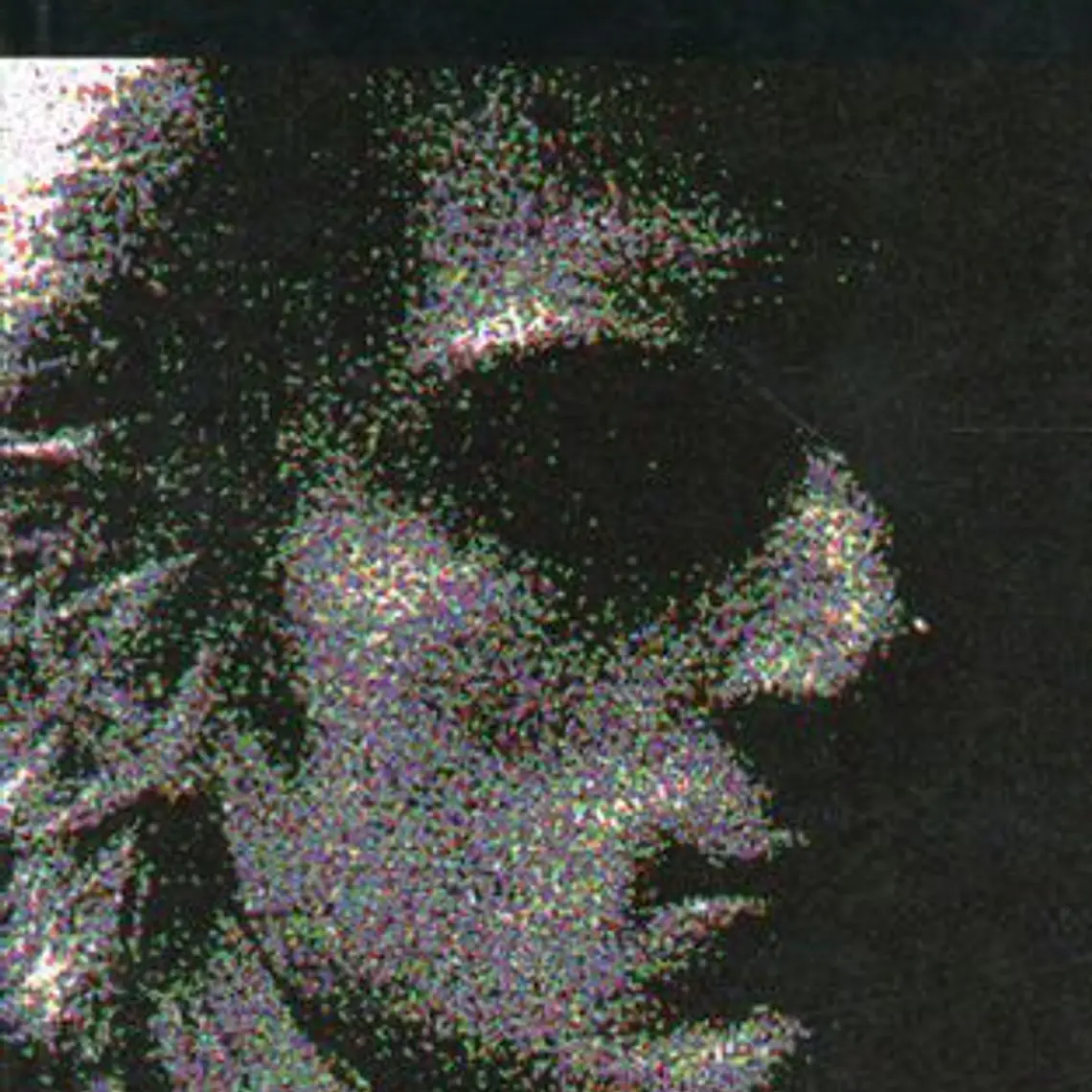 Retrato De Dorian Gray, El 1