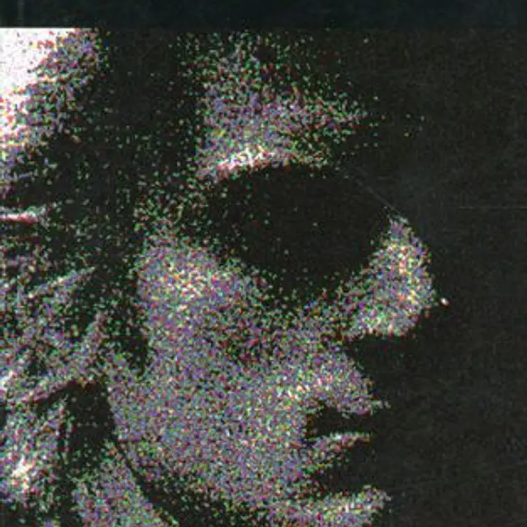 Retrato De Dorian Gray, El 1