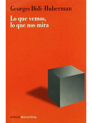 Lo Que Vemos Nos Mira