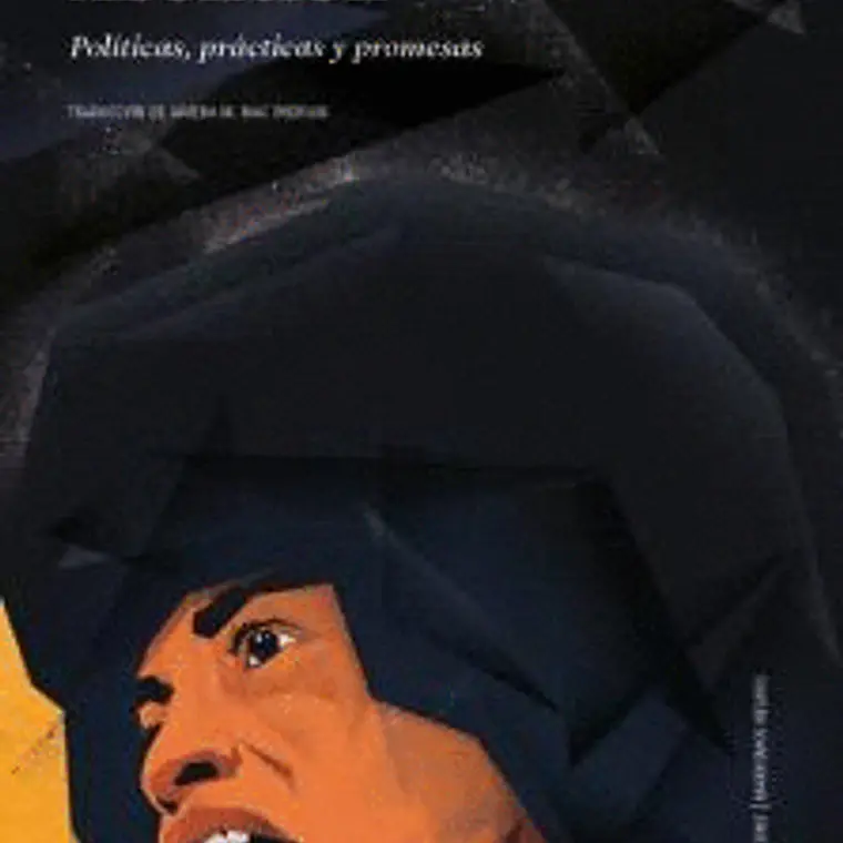 Abolicion. Politicas Practicas Y Promesas 1