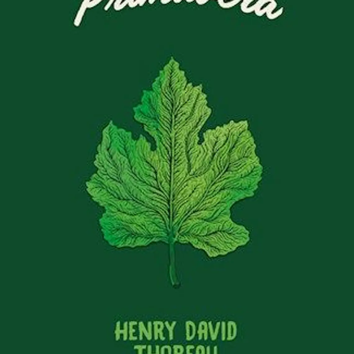 Primavera 1