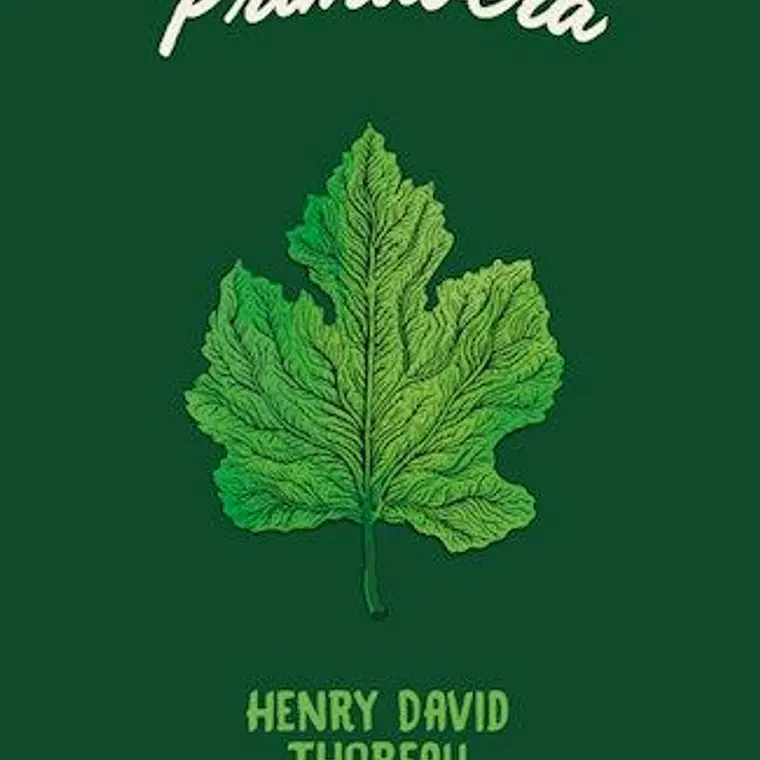 Primavera 1