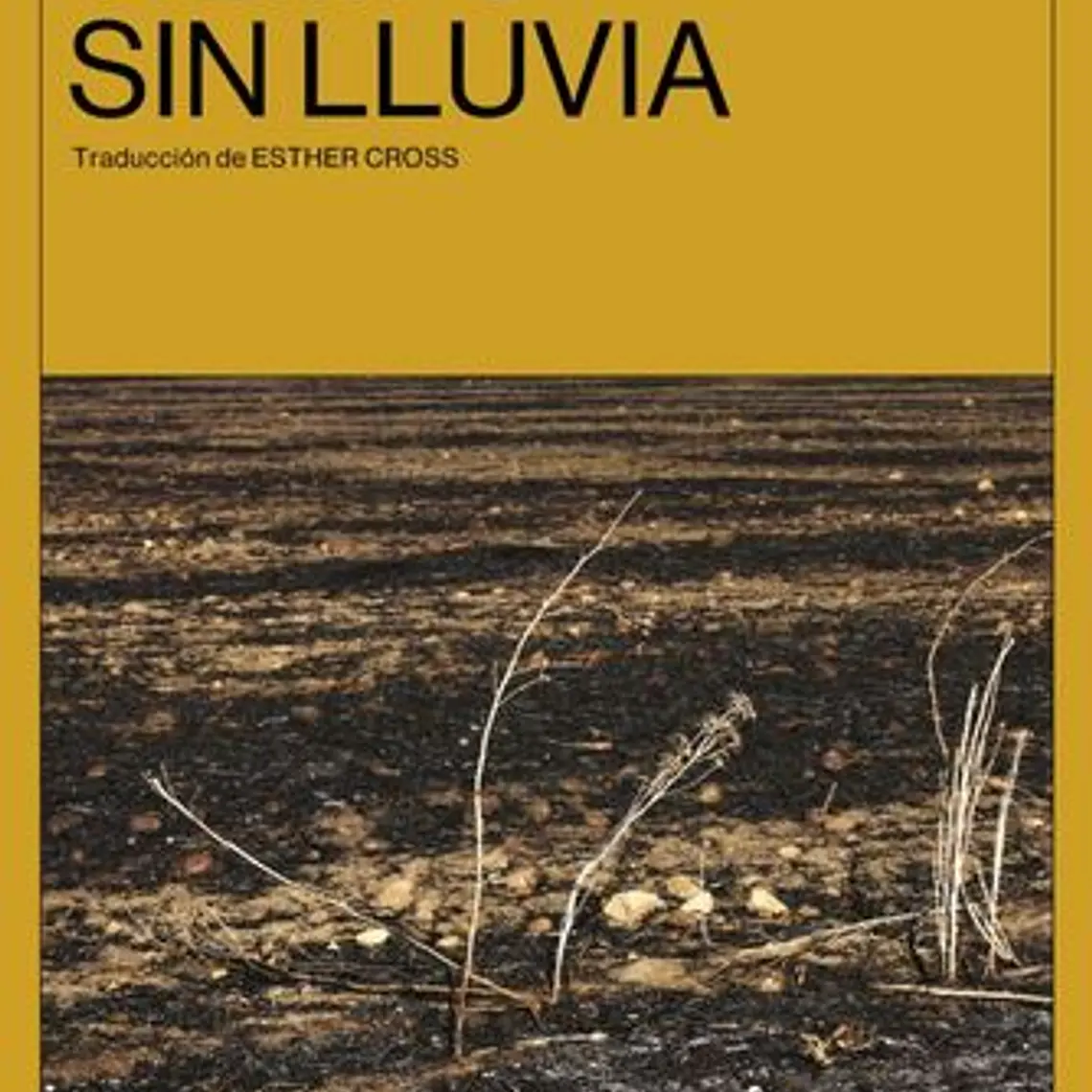 Tiempo Sin Lluvia 1