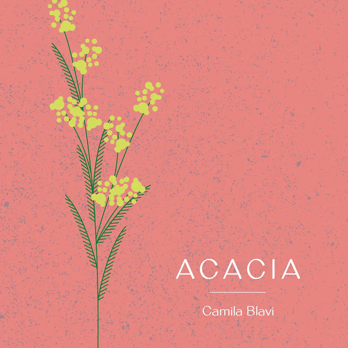 Acacia 1