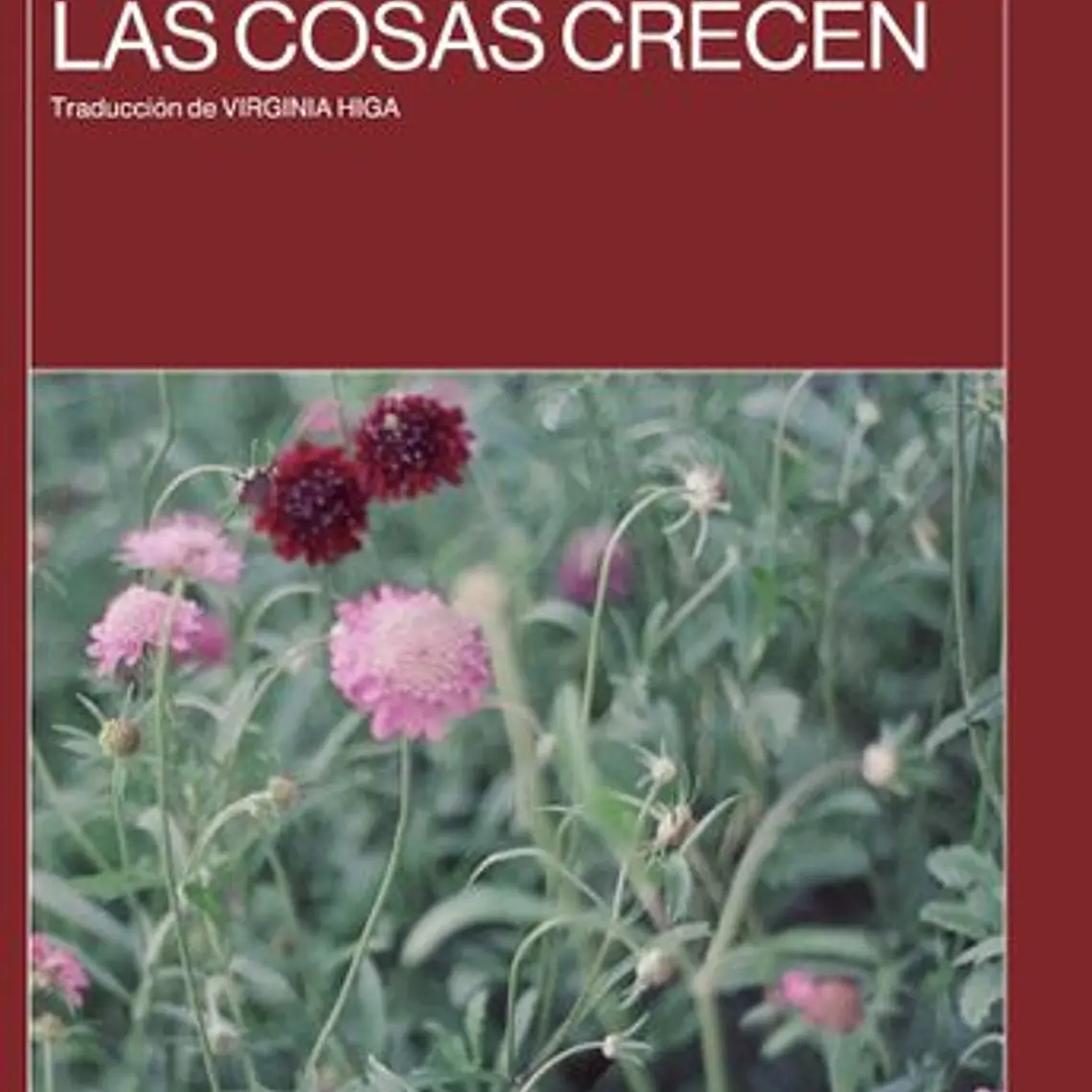 En La Naturaleza Las Cosas Crecen 1