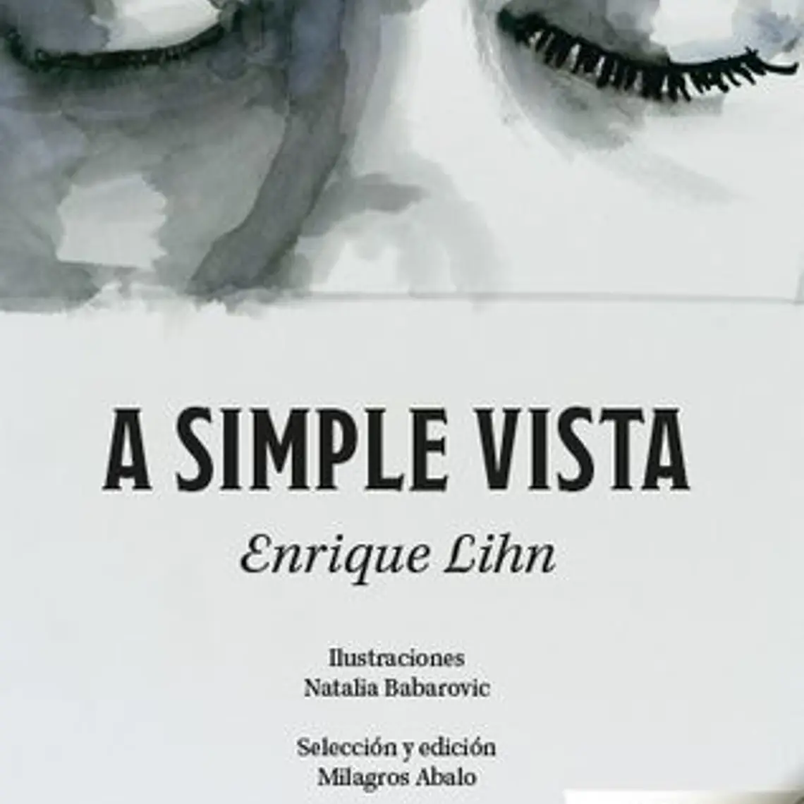 A Simple Vista 1