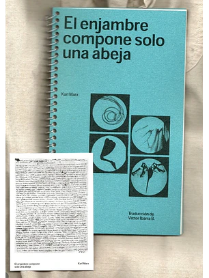 Enjambre Compone Solo Una Abeja, El