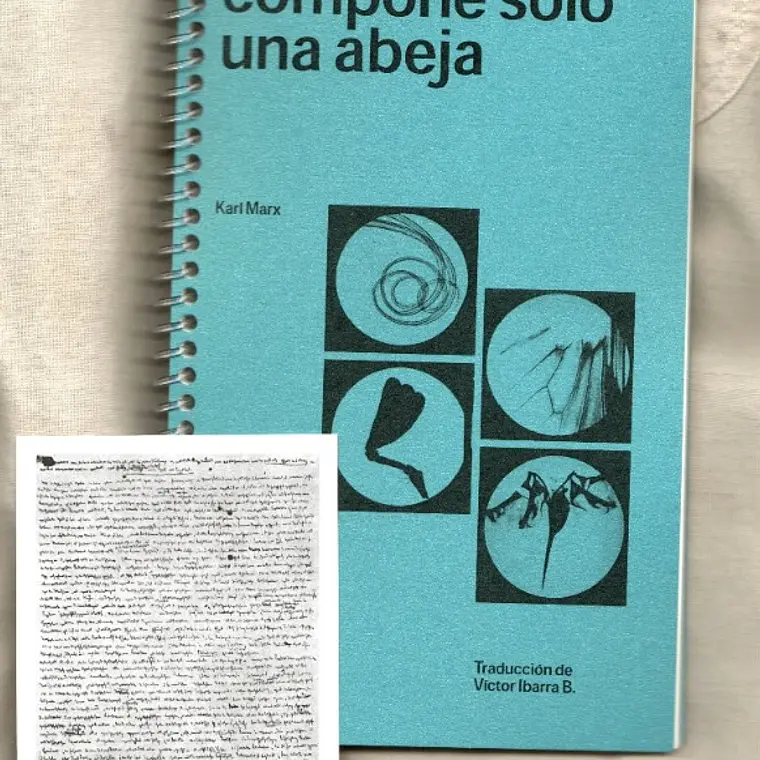 Enjambre Compone Solo Una Abeja, El 1