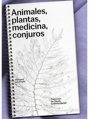 Animales Plantas Medicina Conjuros