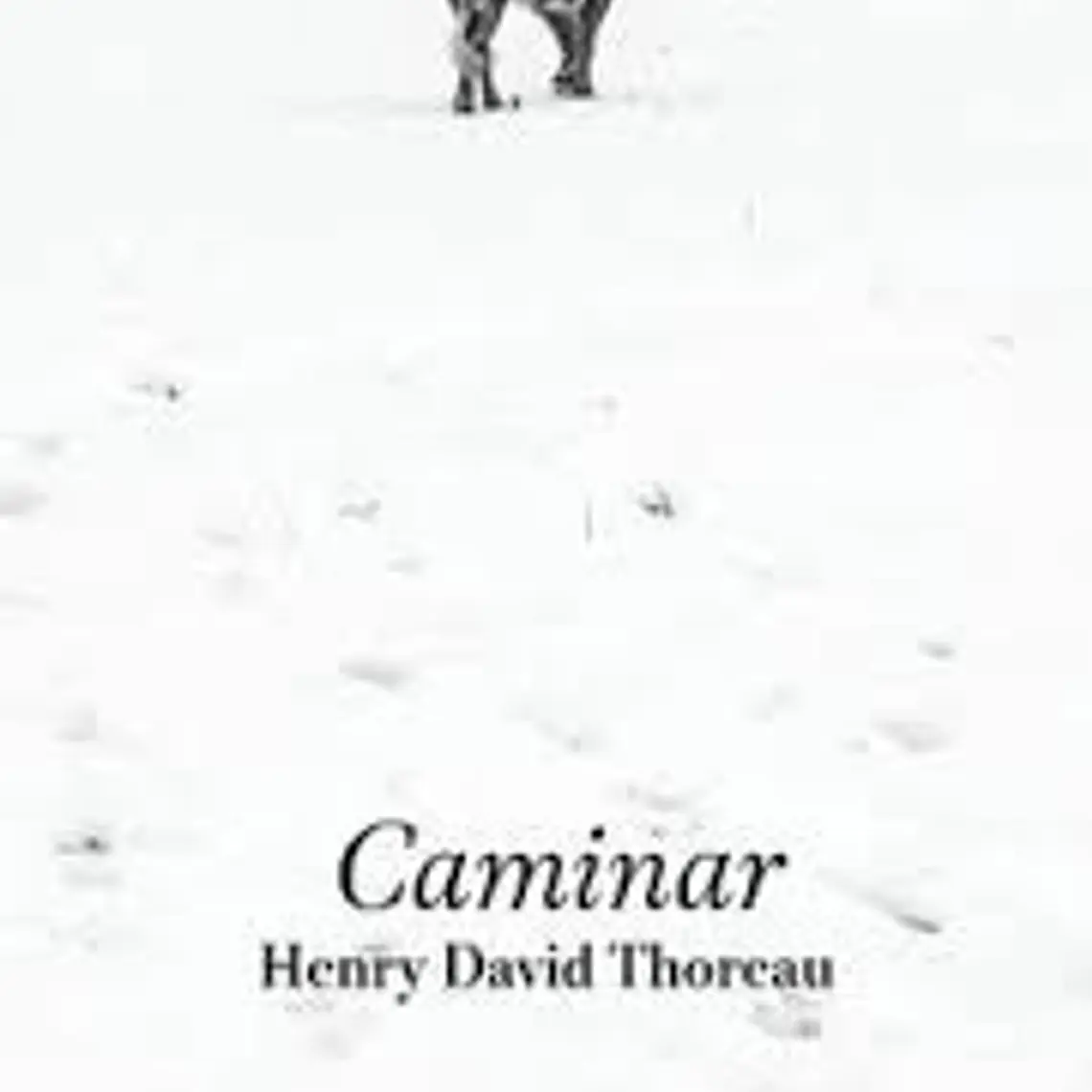Caminar 1