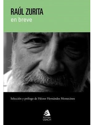 Raúl Zurita En Breve