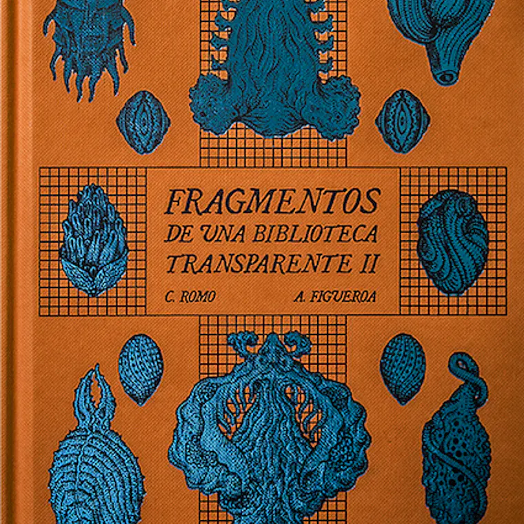 Fragmentos De Una Biblioteca Transparente Ii 1