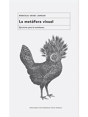 La Metafora Visual