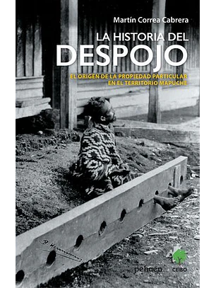 Historia Del Despojo, La. El Origen De La Propiedad Particular En El Territorio Mapuche