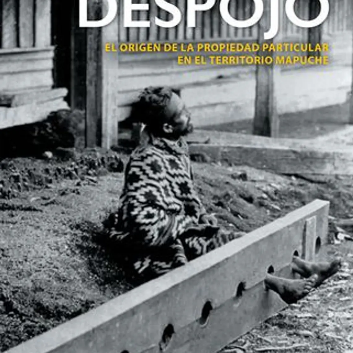 Historia Del Despojo, La. El Origen De La Propiedad Particular En El Territorio Mapuche 1