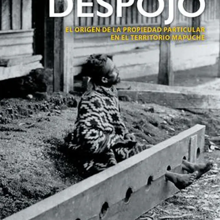 Historia Del Despojo, La. El Origen De La Propiedad Particular En El Territorio Mapuche 1