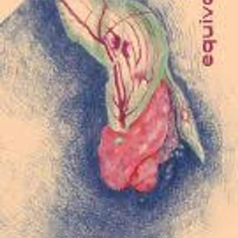 Travo Equivocado 1