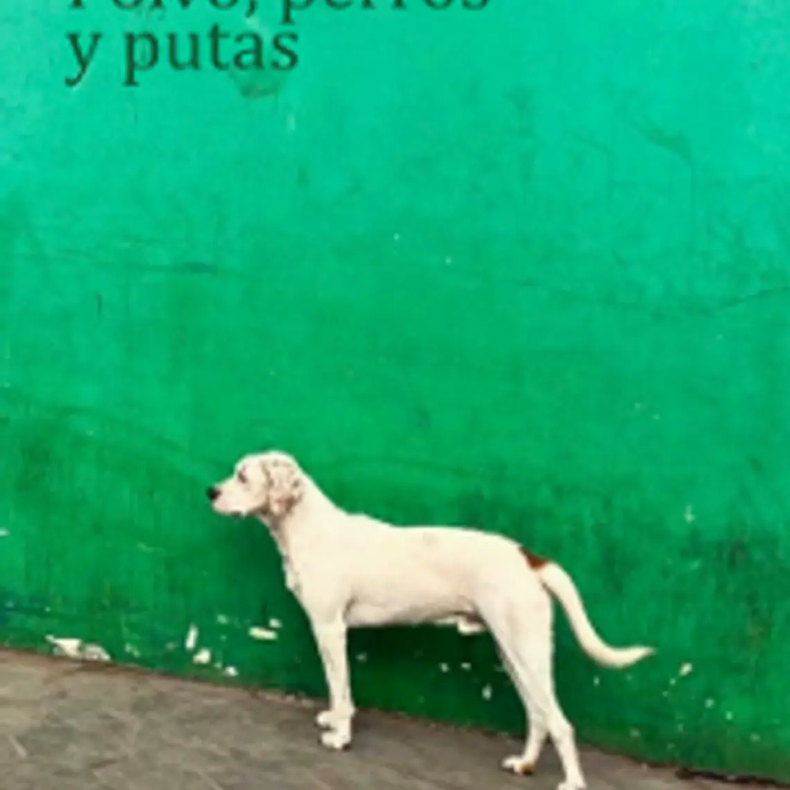 Polvo Putas Y Perras 1