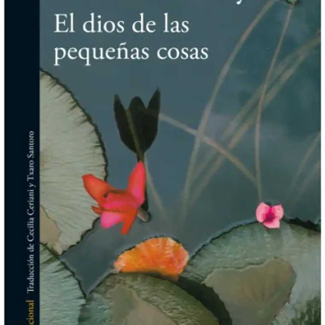 Dios De Las Pequeñas Cosas, El 1